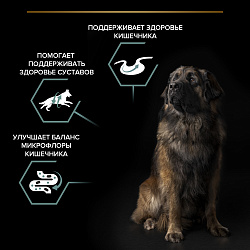 Сухой корм Pro Plan Large Robust для взрослых собак крупных пород, с ягненком 18 кг